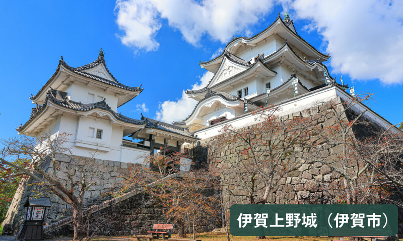 伊賀上野城(伊賀市)