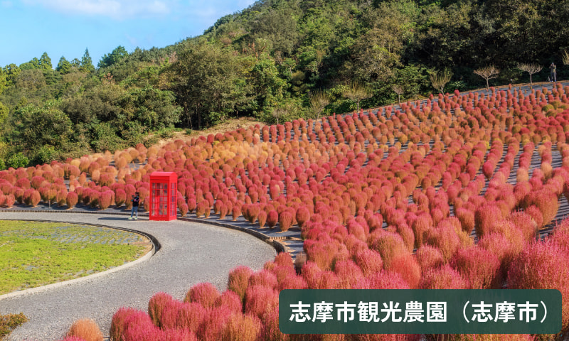 志摩市観光農園(志摩市)
