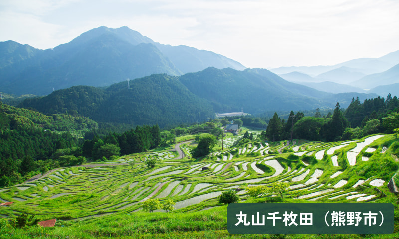 丸山千枚田(熊野市)